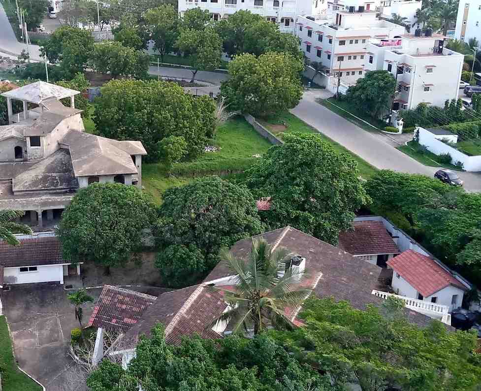 TherapyRise Nyali Sanctuary Mombasa